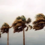 Cyclone Chido à Mayotte