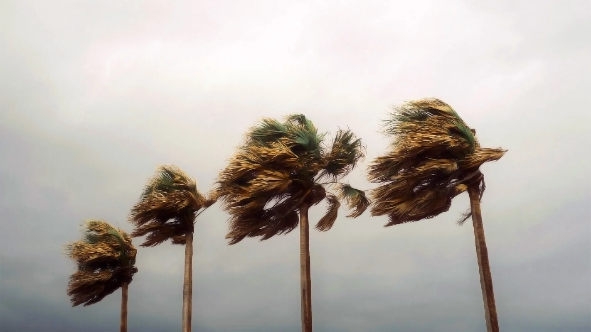 Cyclone Chido à Mayotte