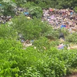 Gestion participative des déchets aux Comores